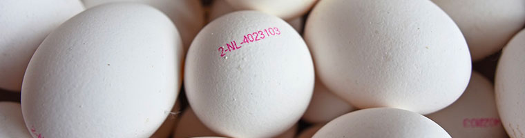 ¿Qué significa el código impreso en los huevos?